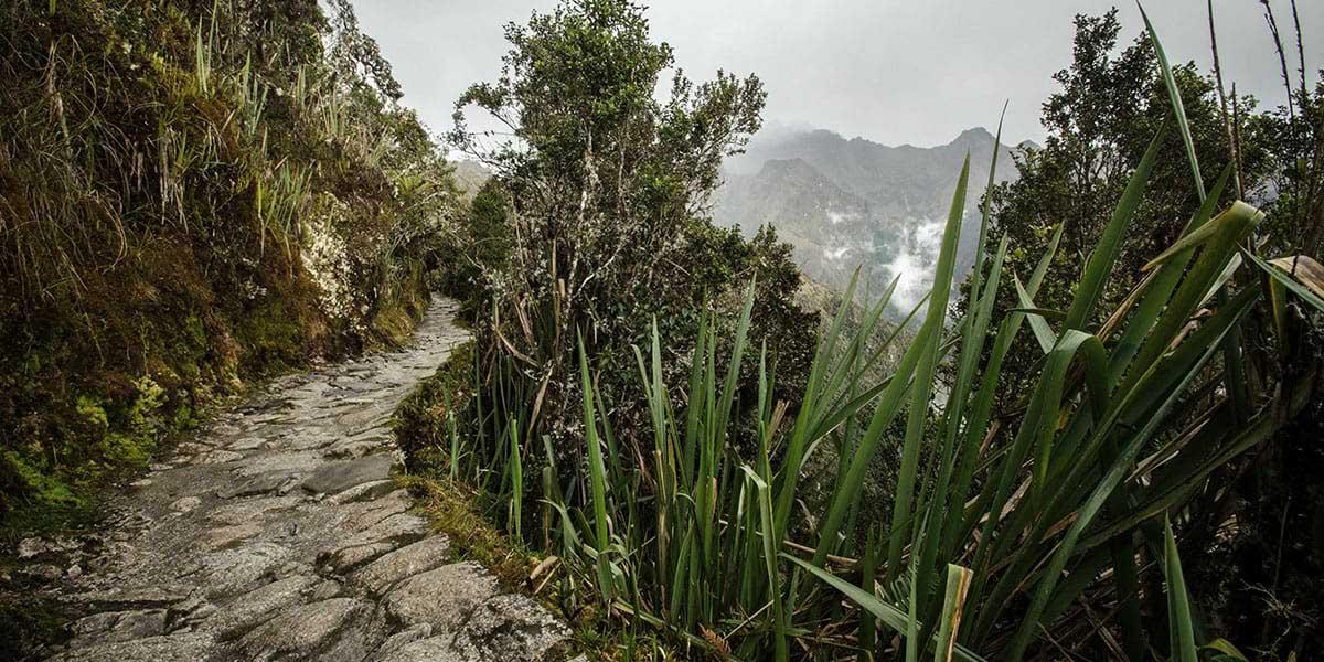 Inca Trail. Photo by Clement Taquet of Peru for Less.