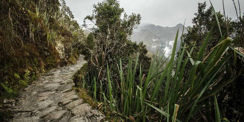 <div class="entry-thumb-caption">Inca Trail. Photo by Clement Taquet of Peru for Less.</div>