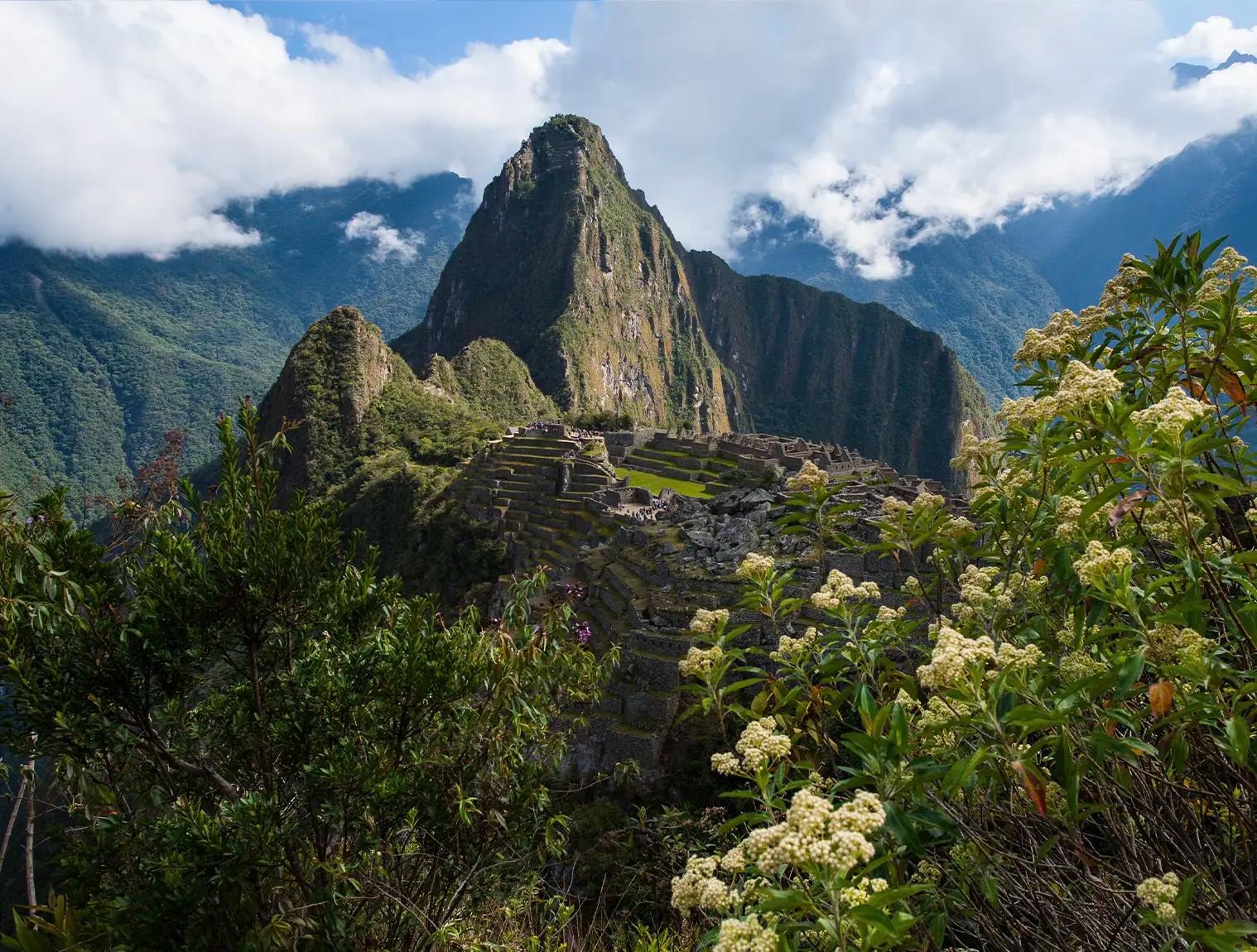 Discover Machu Picchu