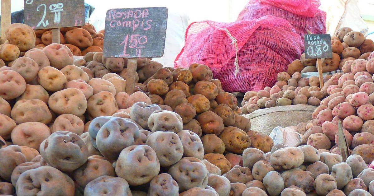 Potatoes for sale at a market in Peru. Image by LoggaWiggler from Pixabay.