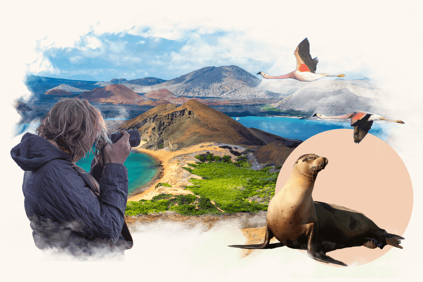 A collage of Machu Picchu, a female backpacker and a photographer taking a photo.