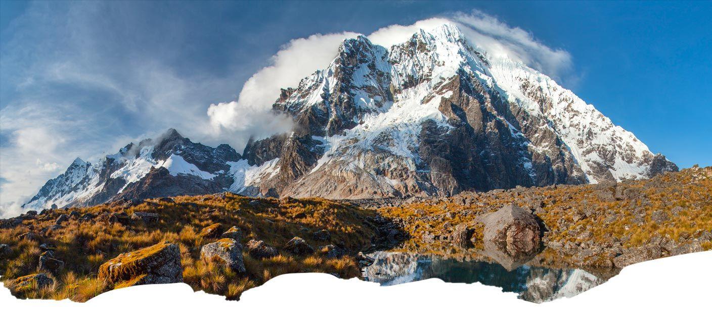 View of a turtle swimming in the Galapagos Island
