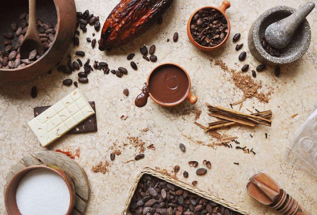 Table with white and dark chocolate, raw and roasted cacao nibs, milk and chocolate-making tools.