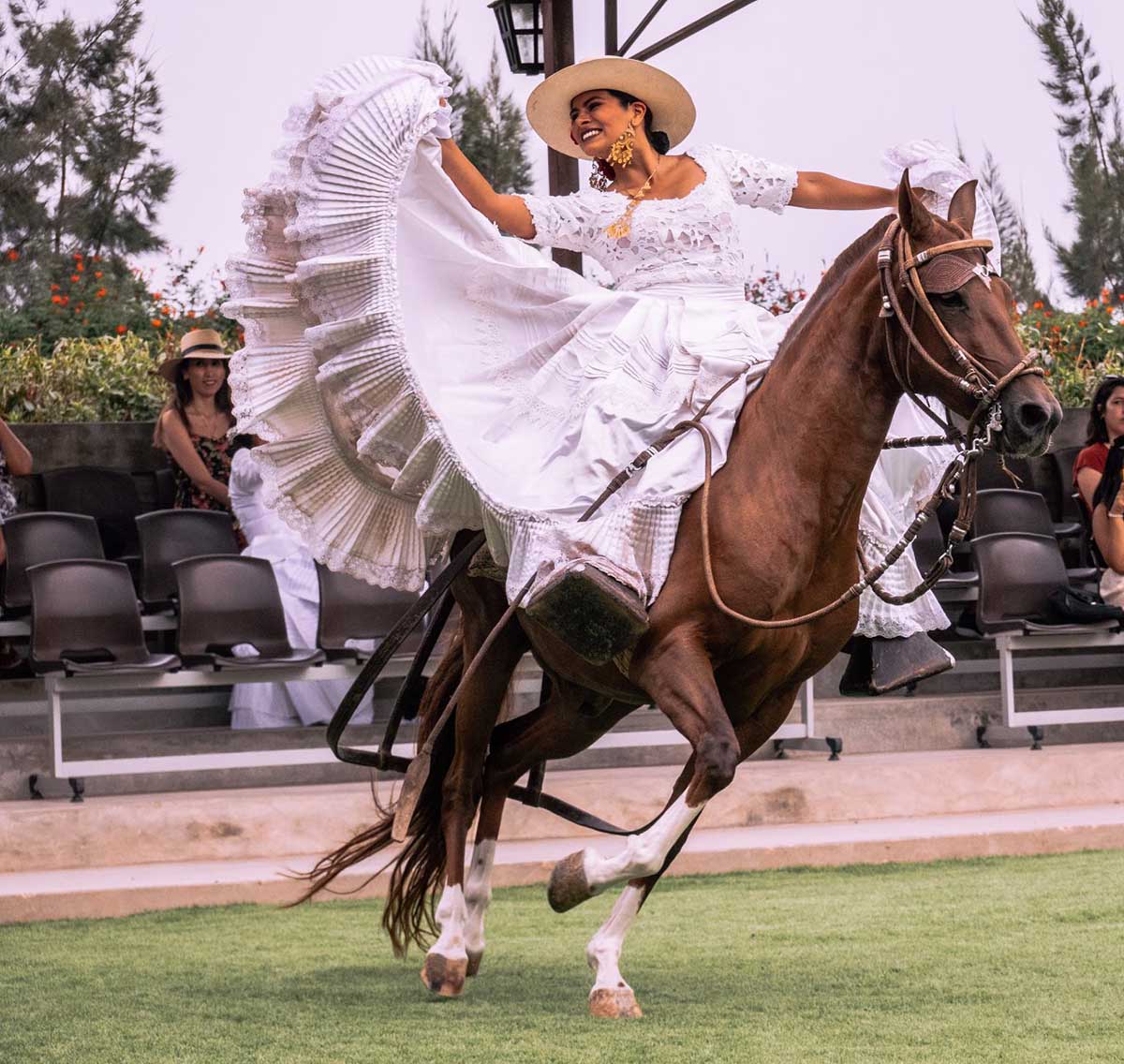 Woman in a white Spanish dress gracefully poses on a running horse at the Dpaso show in Lima.