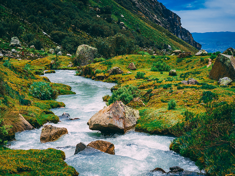 A small river and some bright green and yellow grass on the path to Laguna Llaca near Huaraz.