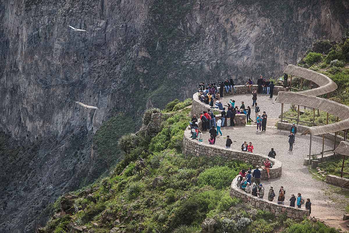 Viewing platform perched over the Colca Canyon with tourists looking at condors flying overhead.