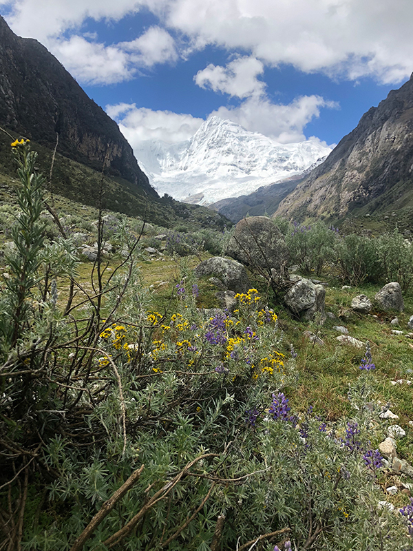 The snow-capped mountain of Huantsán as seen from the path to Laguna Rajucolta.