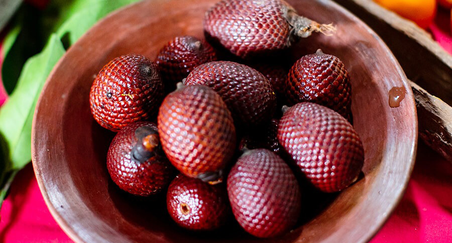 A bowl filled with small brown rigged fruits from the Amazon Rainforest.