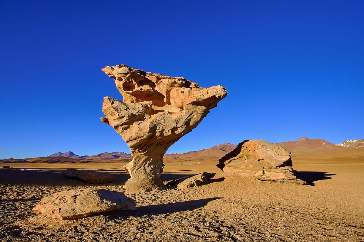 A brown rock eroded into a shape similar to a tree sitting in a desert under clear skies.