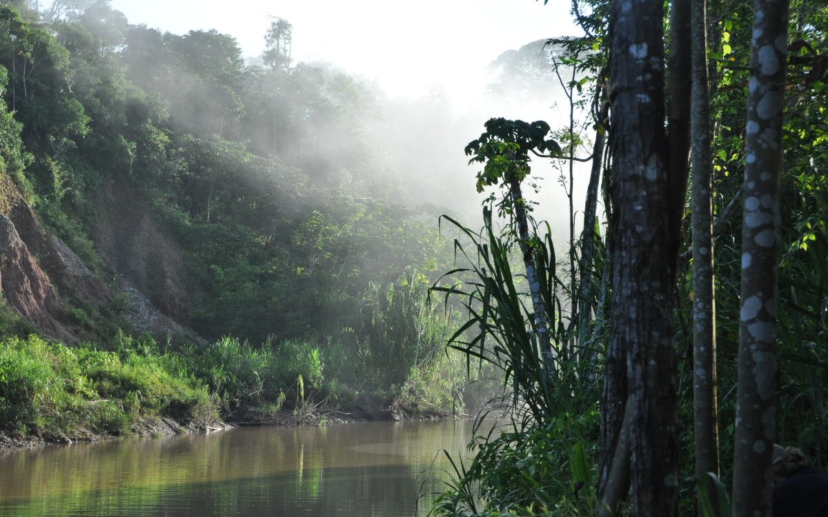 Morning clouds rising from the river with sun shining through in the Amazon Rainforest of Peru.