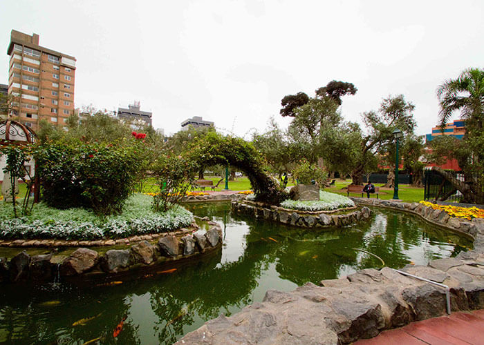 Bosque El Olivar park in Lima