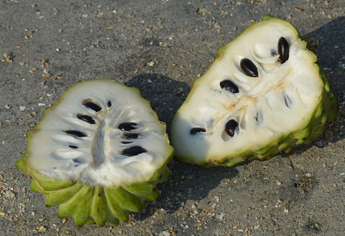 Cherimoya, a Peruvian fruit known as custard apple, halved to reveal its white flesh and black seeds