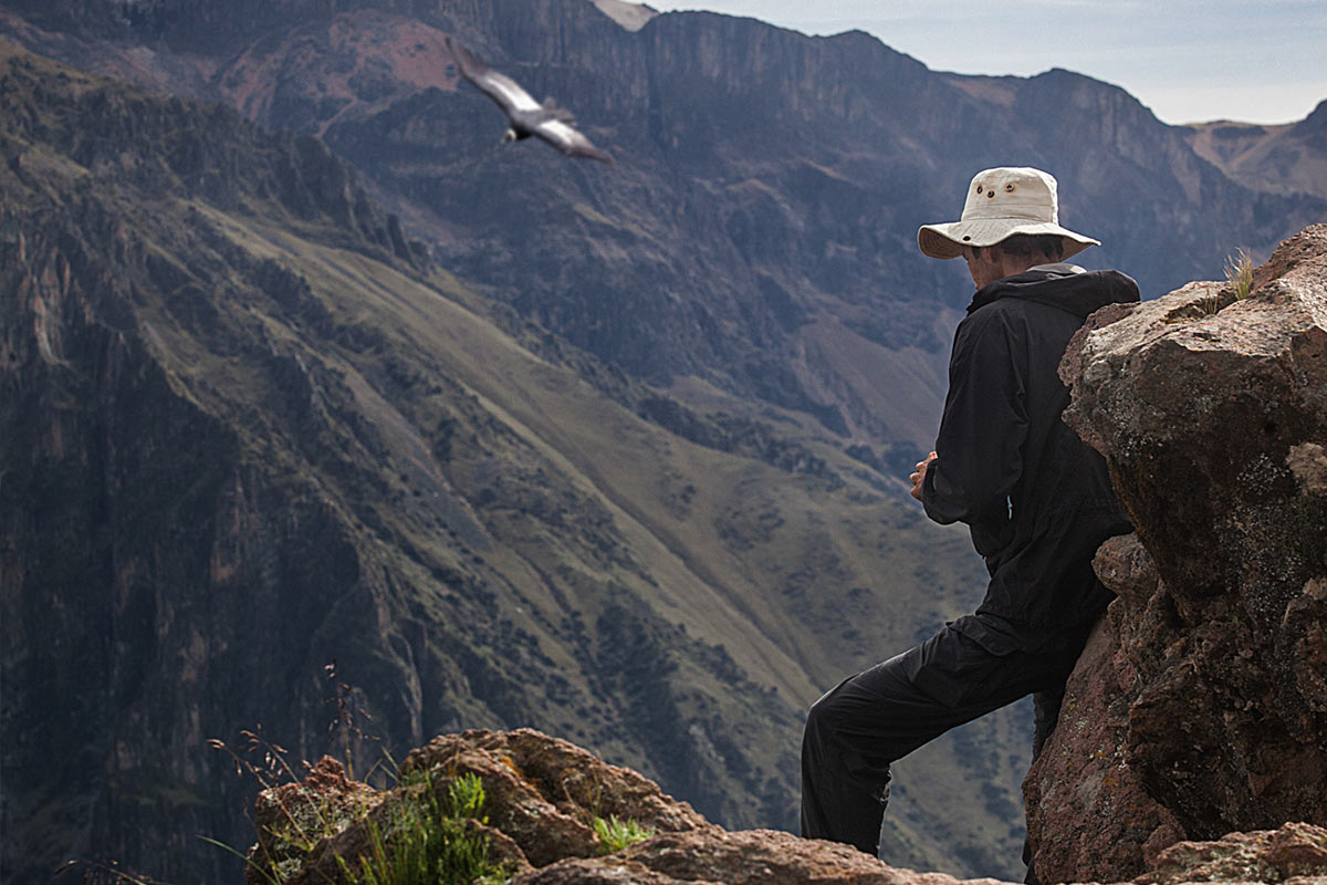 Tourist wearing a hat looking out at a condor flying over Colca Canyon.