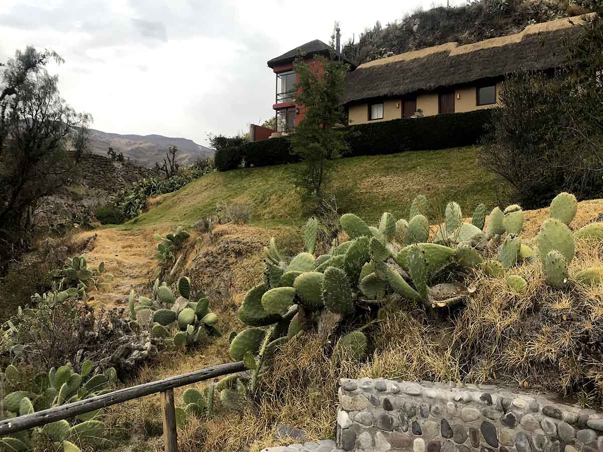 One building with guestrooms at the Colca Lodge with green cacti, yellow grass, and gray skies.