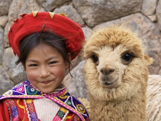 Young girl from the Andes in traditional attire smiling beside an alpaca.