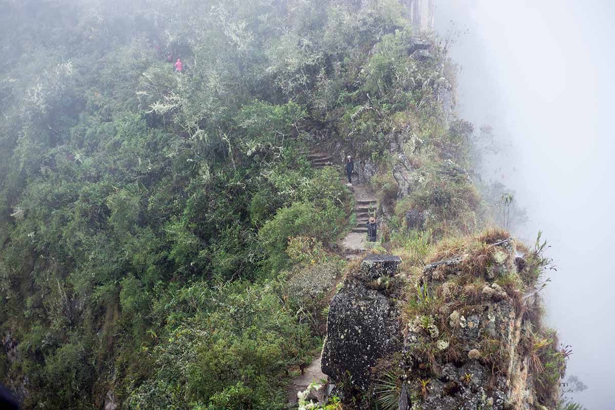 Fog over the stone steps and dirt path lead up Machu Picchu Mountain.