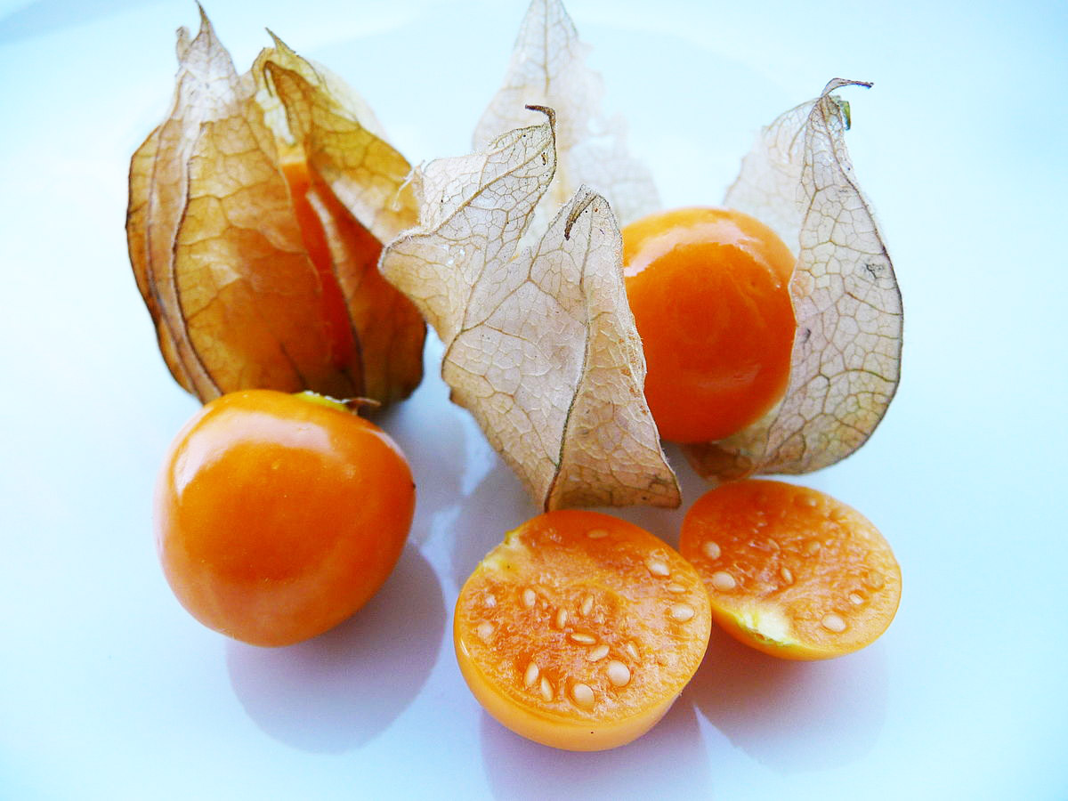 Aguaymanto, or goldenberry, a Peruvian superfood that grows in the Andes with a tart and sour flavor