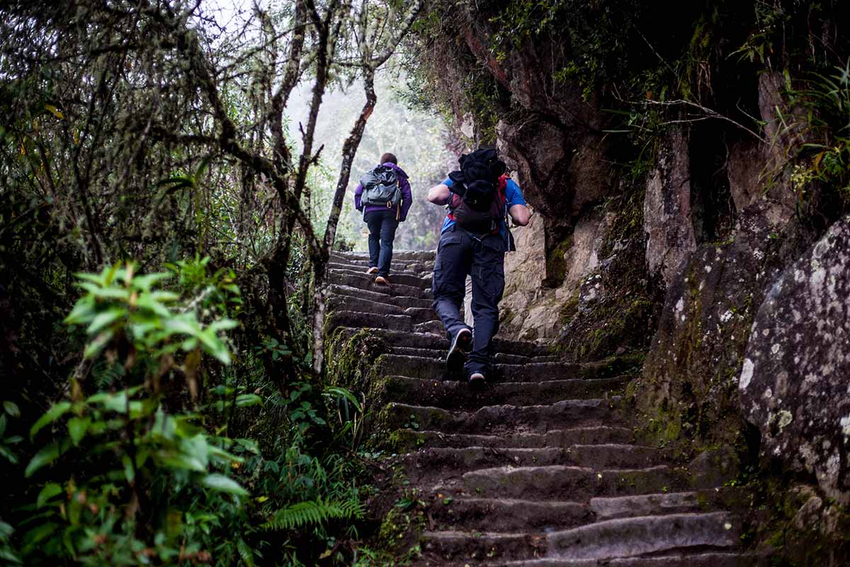 Two hikers ascend steep stairs with backpacks in a misty climate.
