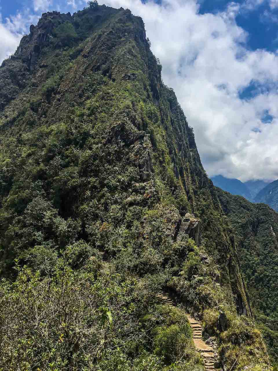 A view looking up at the Huayna Picchu mountain from the trail on a sunny day.