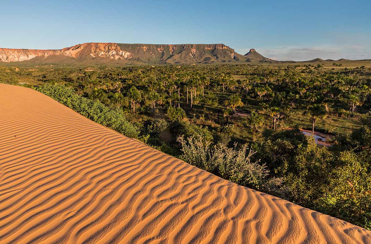 Orange sand dunes back up to a forest are with mountains in the background.