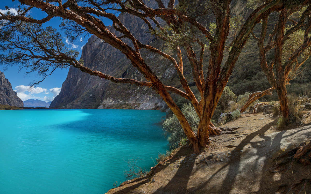 The bright turquoise waters of Laguna 69 with mossy trees and mountains surrounding it.