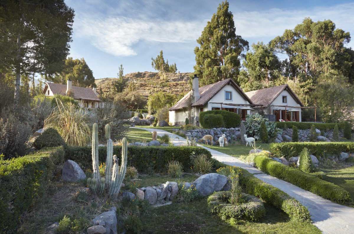 Greenery with casitas and alpacas at Belmond Las Casitas spa resort in Peru.