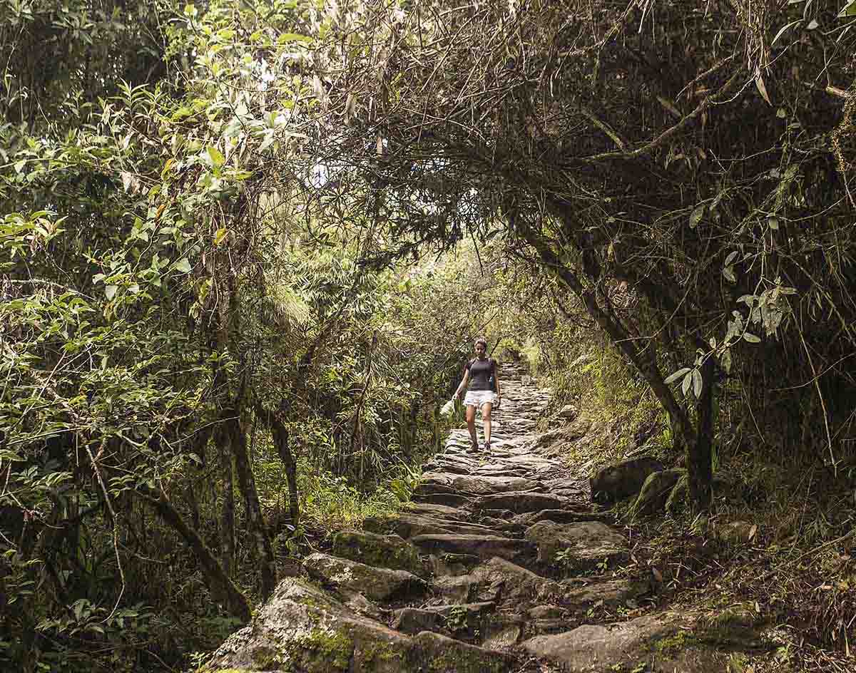 A woman descends the Machu Picchu Mountain path, an uneven, stone path surrounded by green trees.