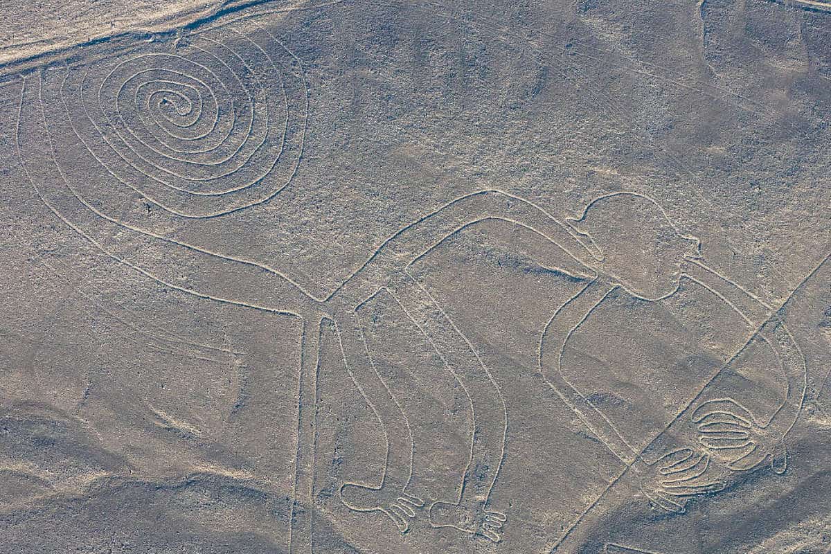 A Monkey geoglyph found among the many animal figures of the enigmatic Nazca Lines.