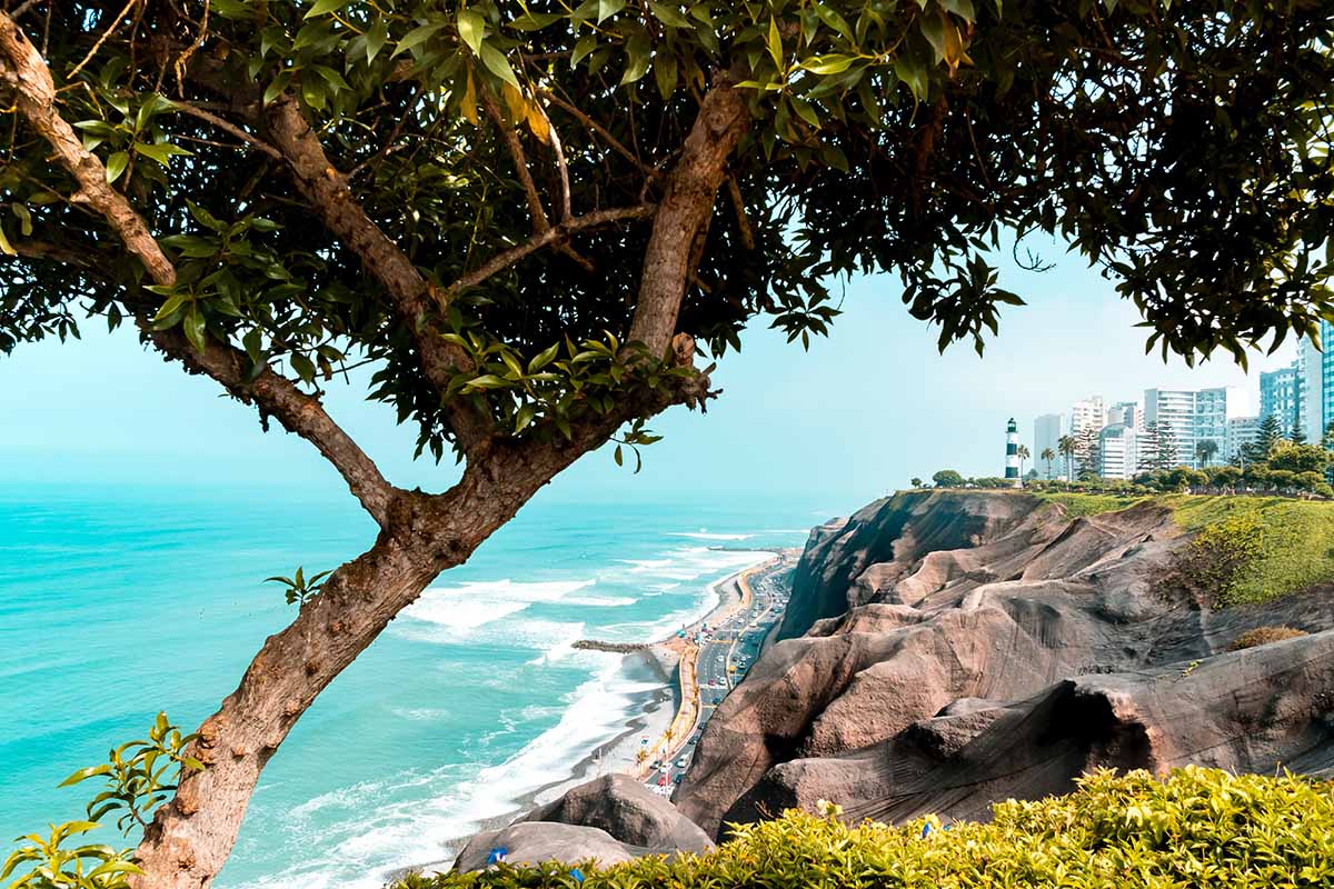 A view of Miraflores, the lighthouse, and Pacific Ocean with a lush tree in the foreground