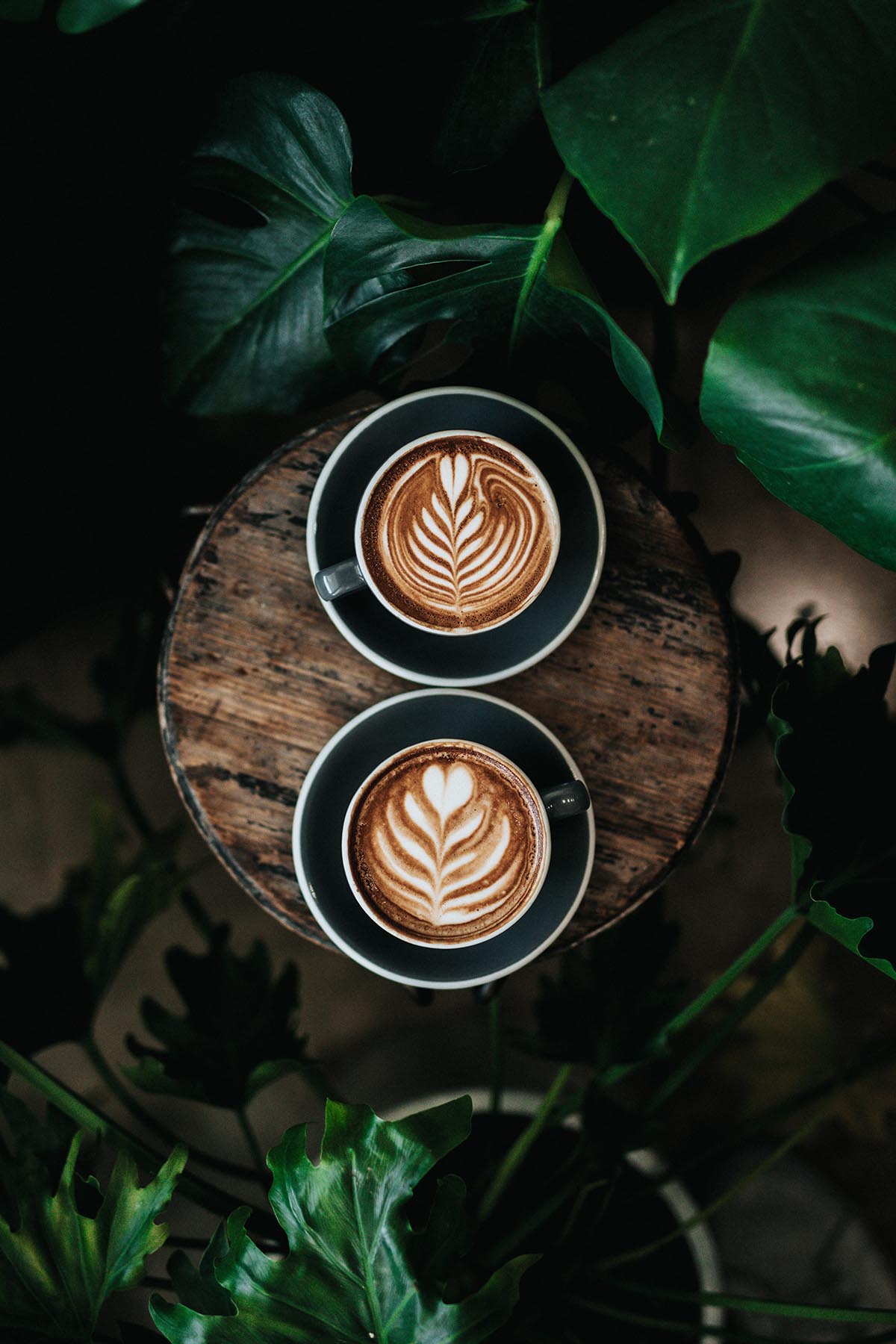Two cappuccinos with flower designs in the foam against a dark wooden background.