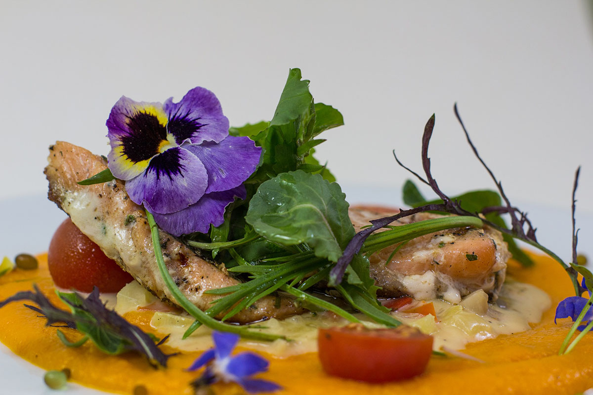 Colorful fish dish topped with greens and edible flowers from Organika in Cusco.
