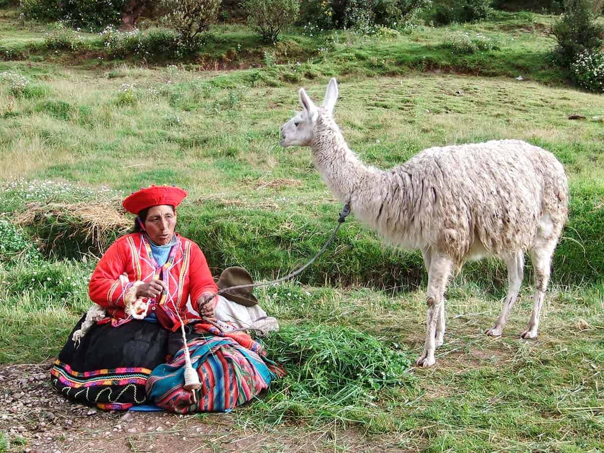 Native Quechua woman with a llama in Peru's Sacred Valley