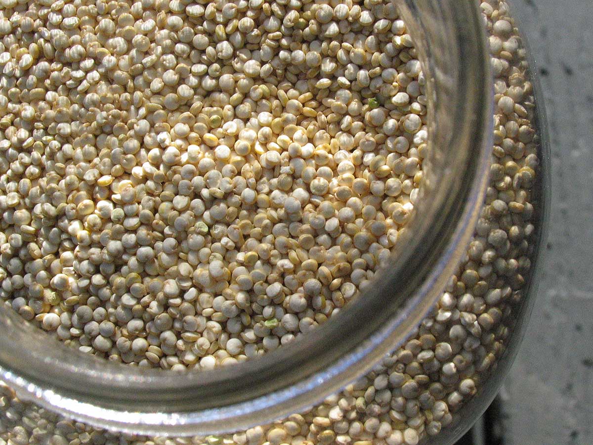 A jar of quinoa, the superstar of Peruvian superfoods packed with all nine essential amino acids