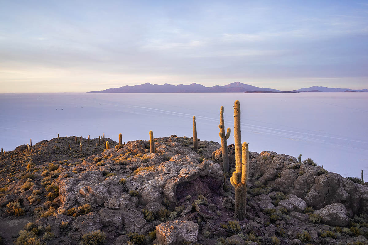 Cacti and rocks lead to a barren, white desert stretched to mountains in the distance.