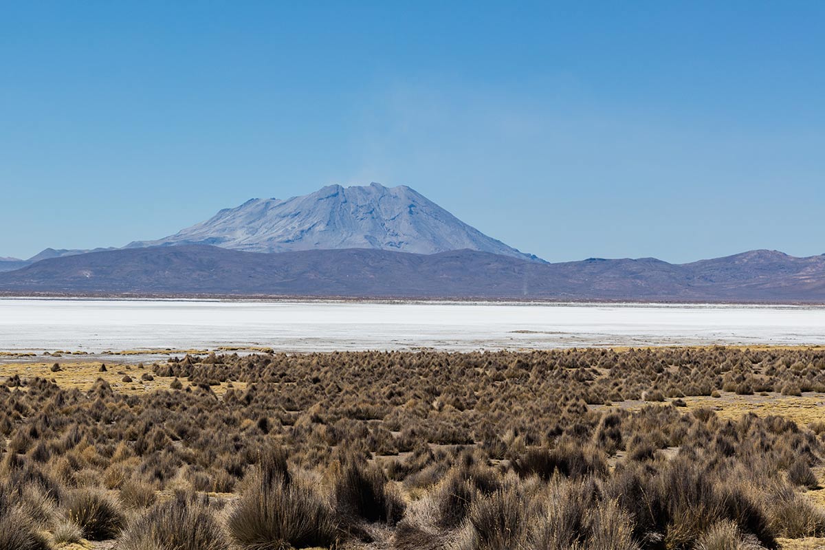 Ubinas Volcano towering in the background of the white Salinas Lake surrounded by highland shrubs. 
