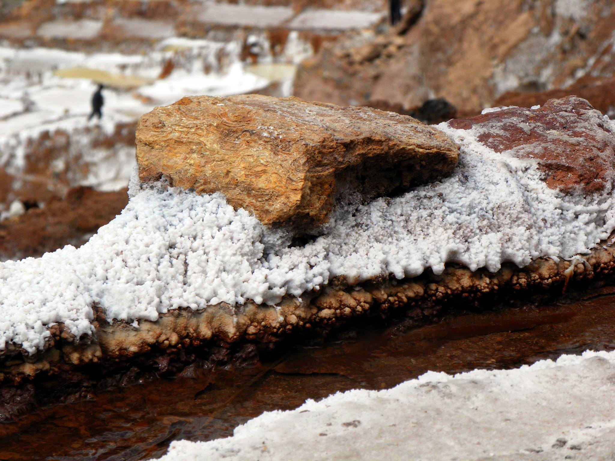 Close up of salt crystals forming on the rock in the Maras salt pans. 
