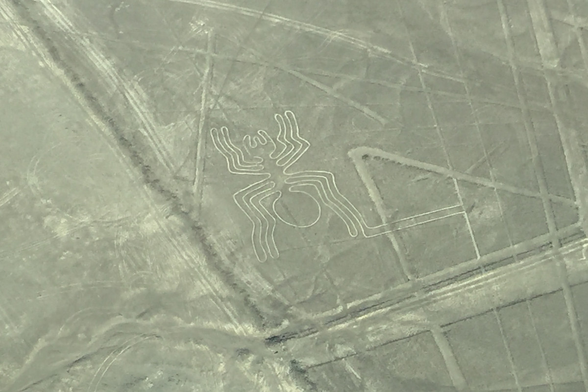 Flying over the desert of Peru and looking down on the Spider Nazca Line.