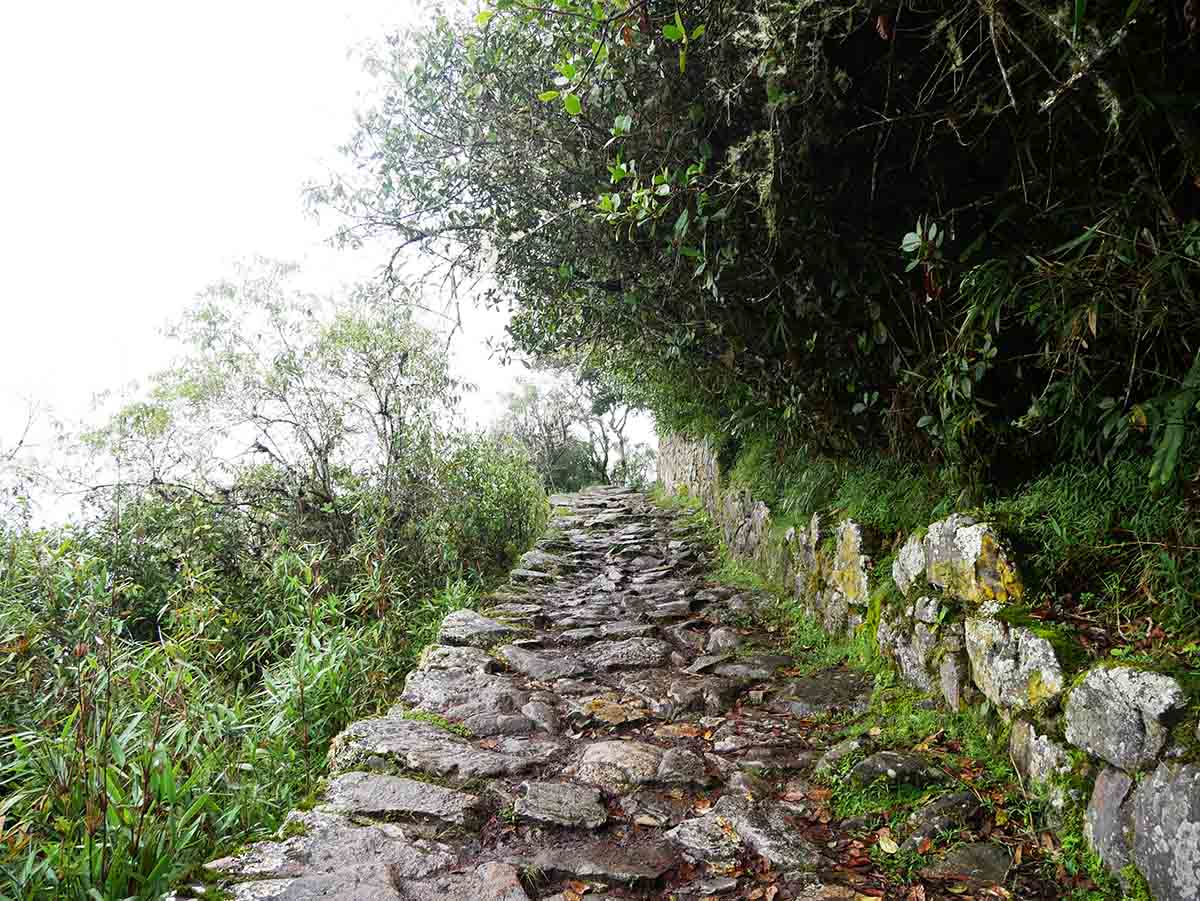 A stone path with overgrown trees above leading to the Sun Gate at Machu Picchu.