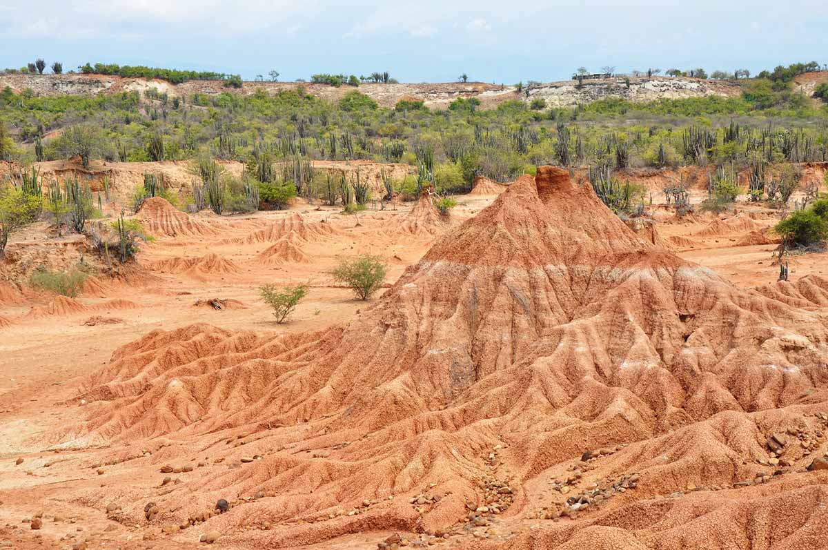 Sandy formations of the Tatacoa Desert in South America with sparse greenery in the background.